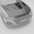 Audi RS6 C8 Carbon Fiber Hood