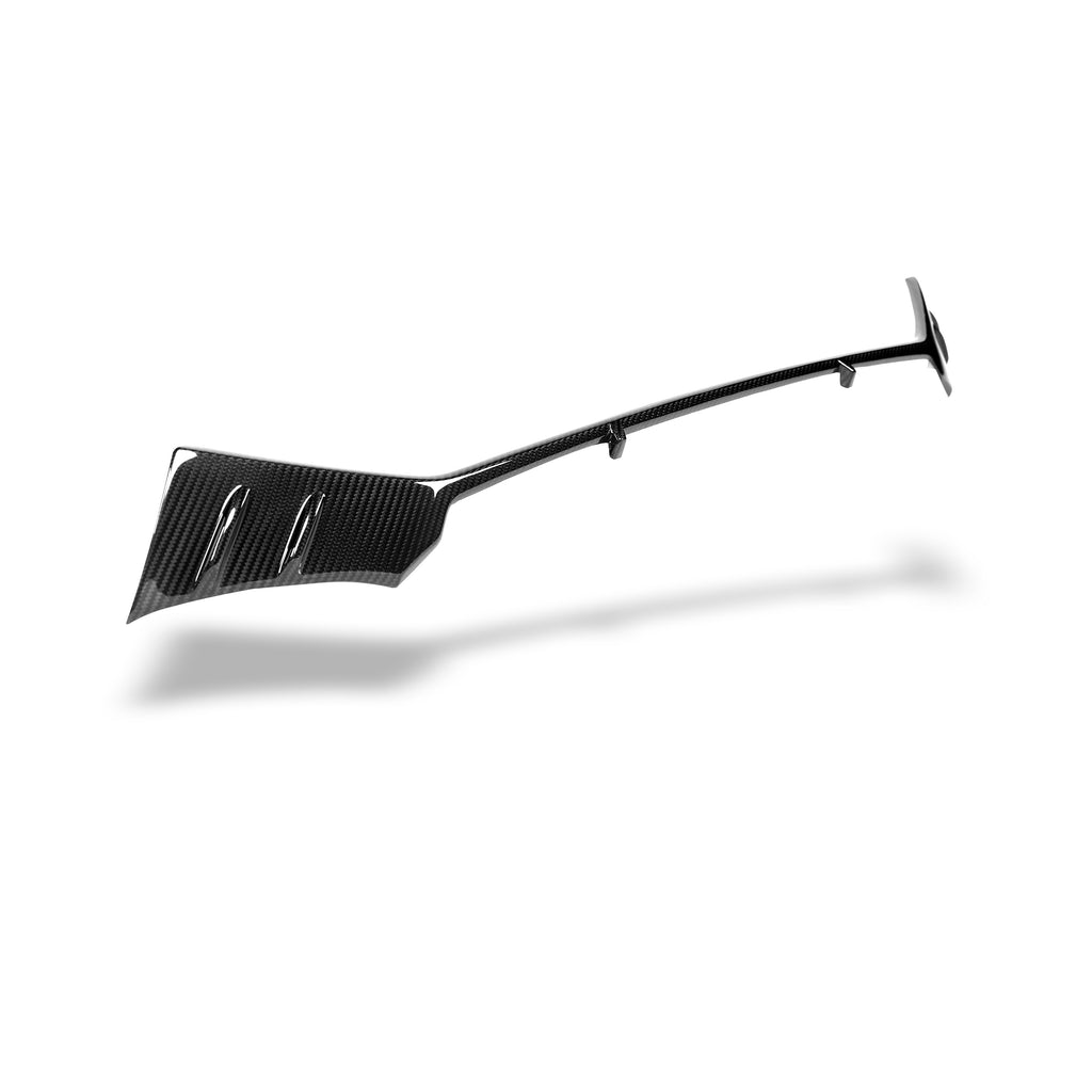 Audi RS7 C8 Sportback Carbon Fiber Front Grill