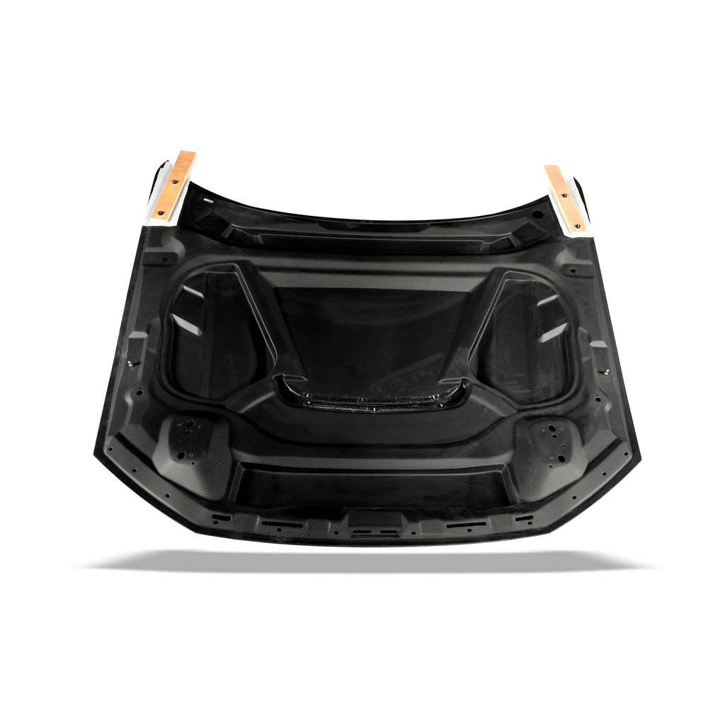 Audi RS6 C8 Carbon Fiber Hood