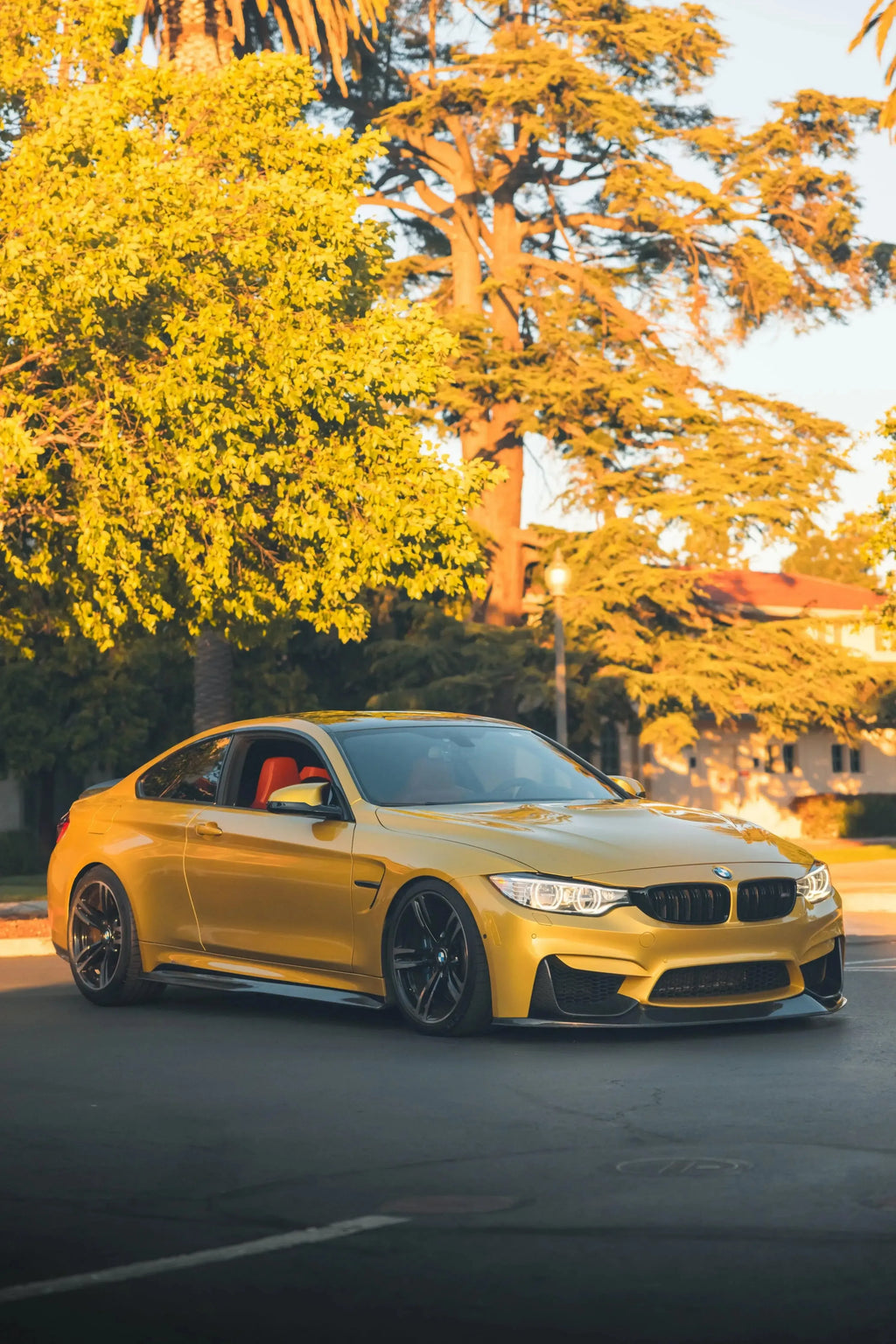 Carbon fiber front lip (RSC Style) on a yellow BMW F82 M4 under trees, angled front