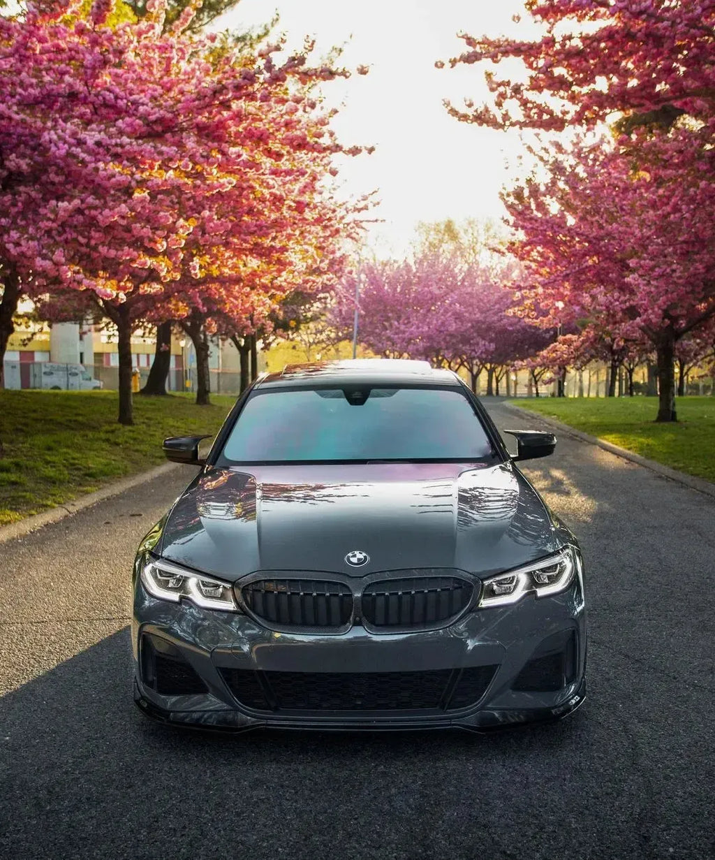 Gray BMW G20 M340i from the front under blossoming trees, with fitted carbon double-slat kidney grille