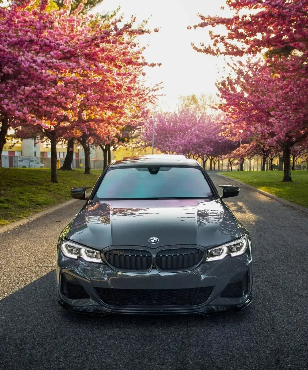 Gray BMW G20 M340i from the front under blossoming trees, with fitted carbon double-slat kidney grille